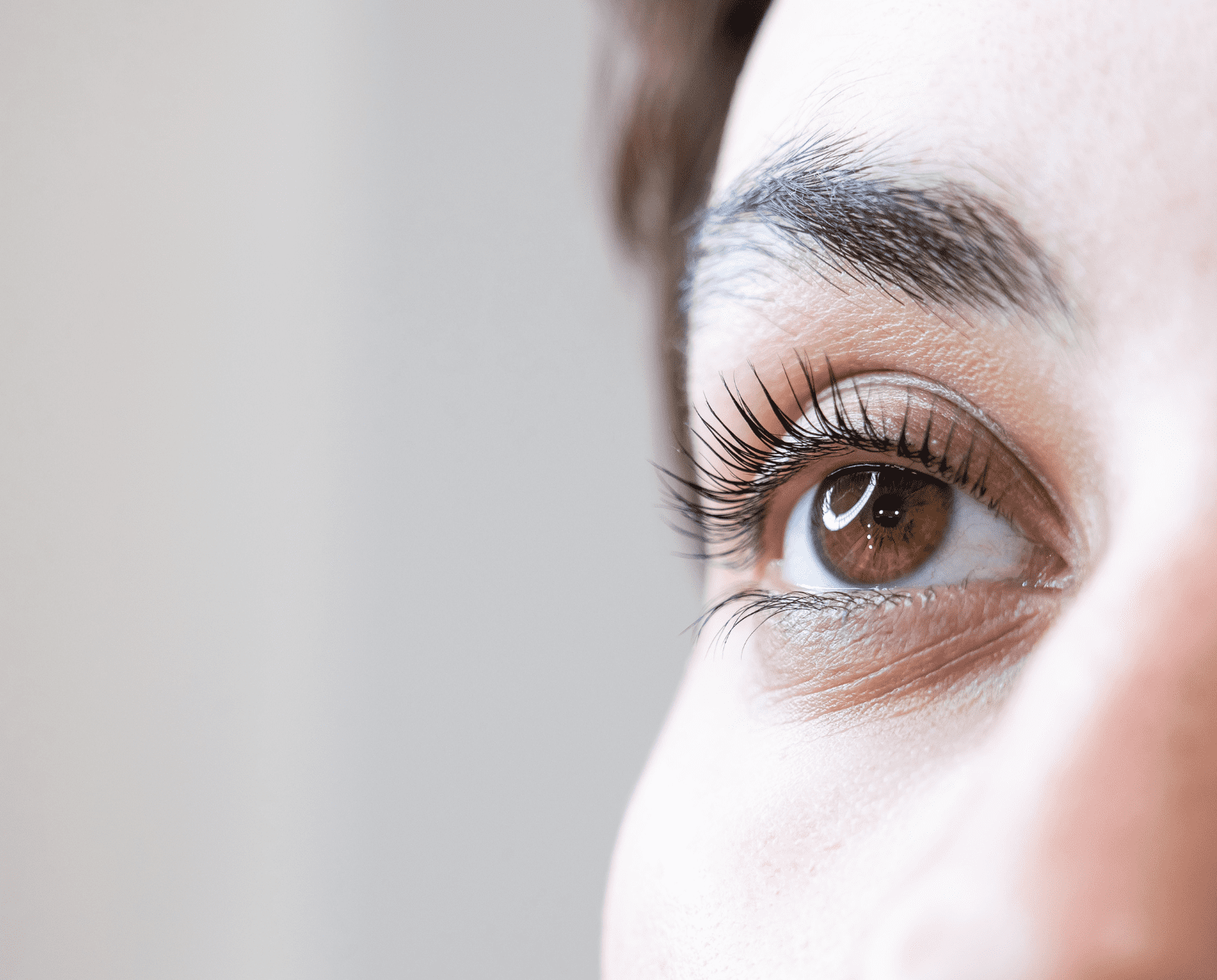 lash lift coco beauty 1900