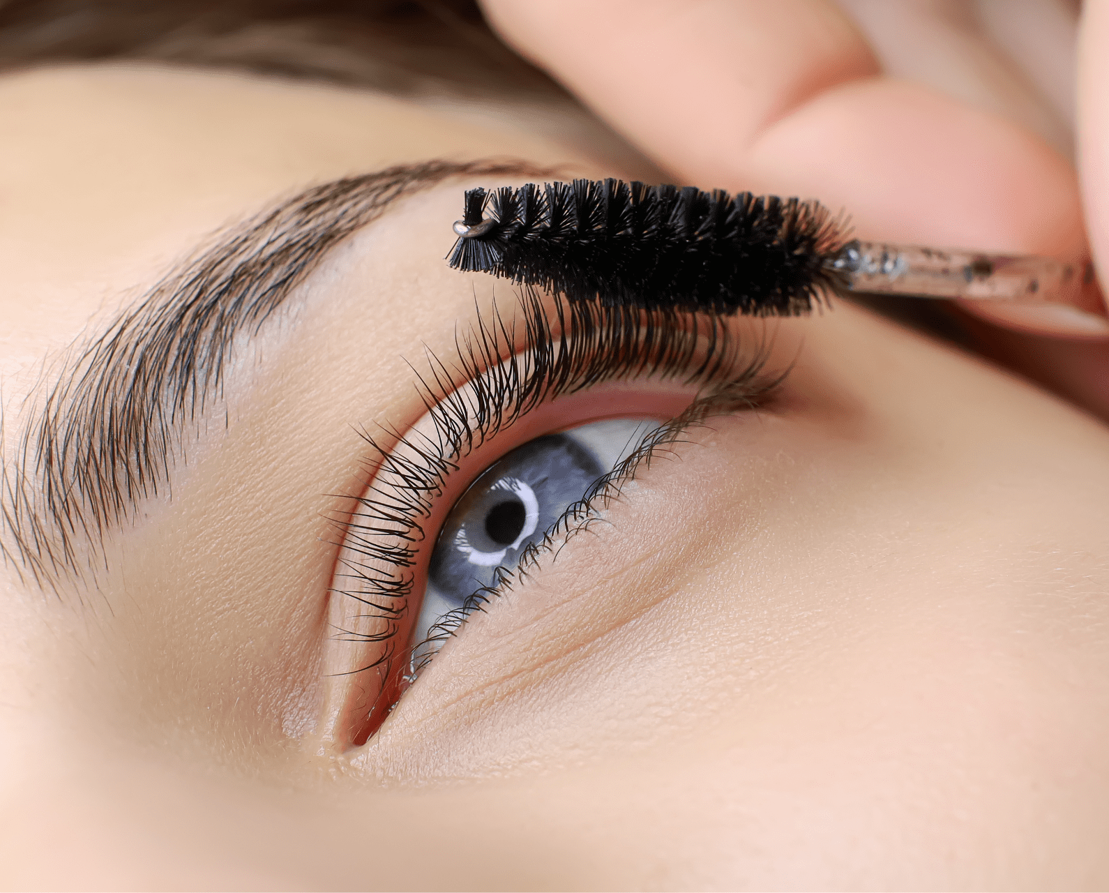 lash tinting coco beauty 1900